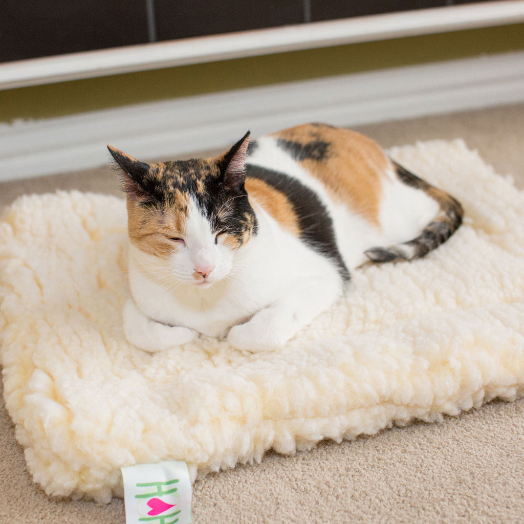 HuggleFleece Cat & Dog Mat Bed