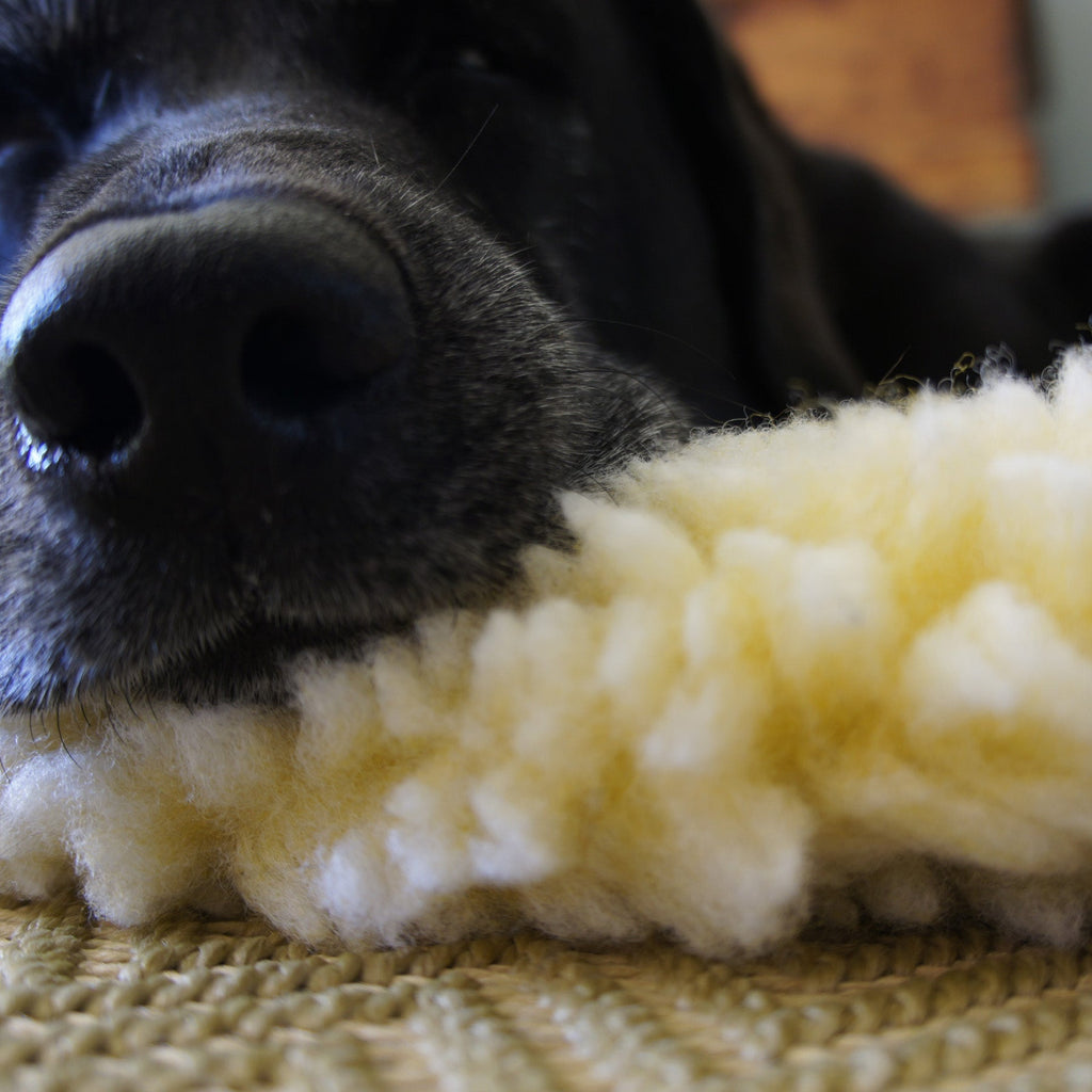 HuggleFleece Cat & Dog Mat Bed