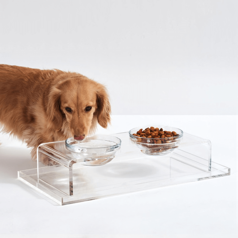 Clear Glass Double Bowl Feeder