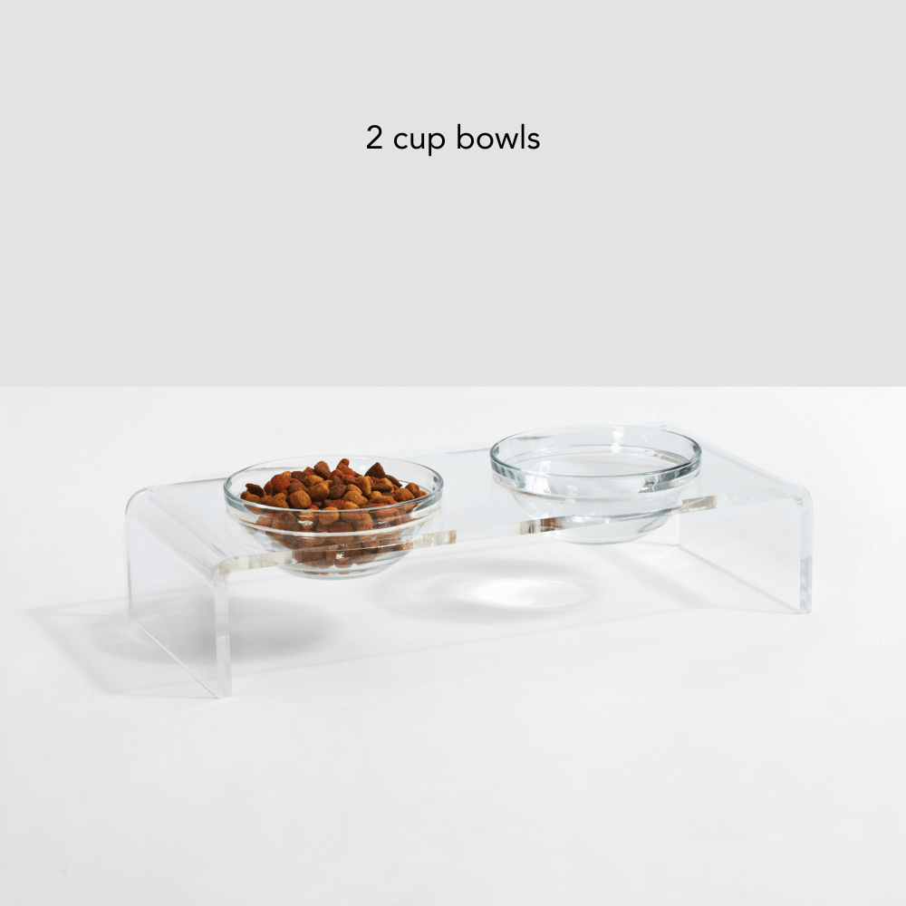 Clear Glass Double Bowl Feeder