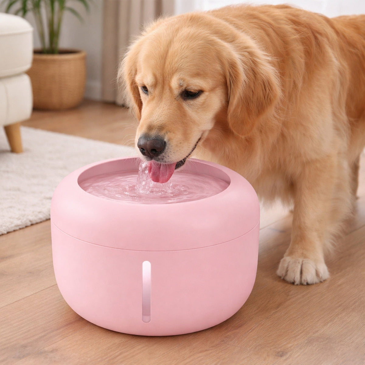 Quiet Filtered Cat Fountain – 2.5L