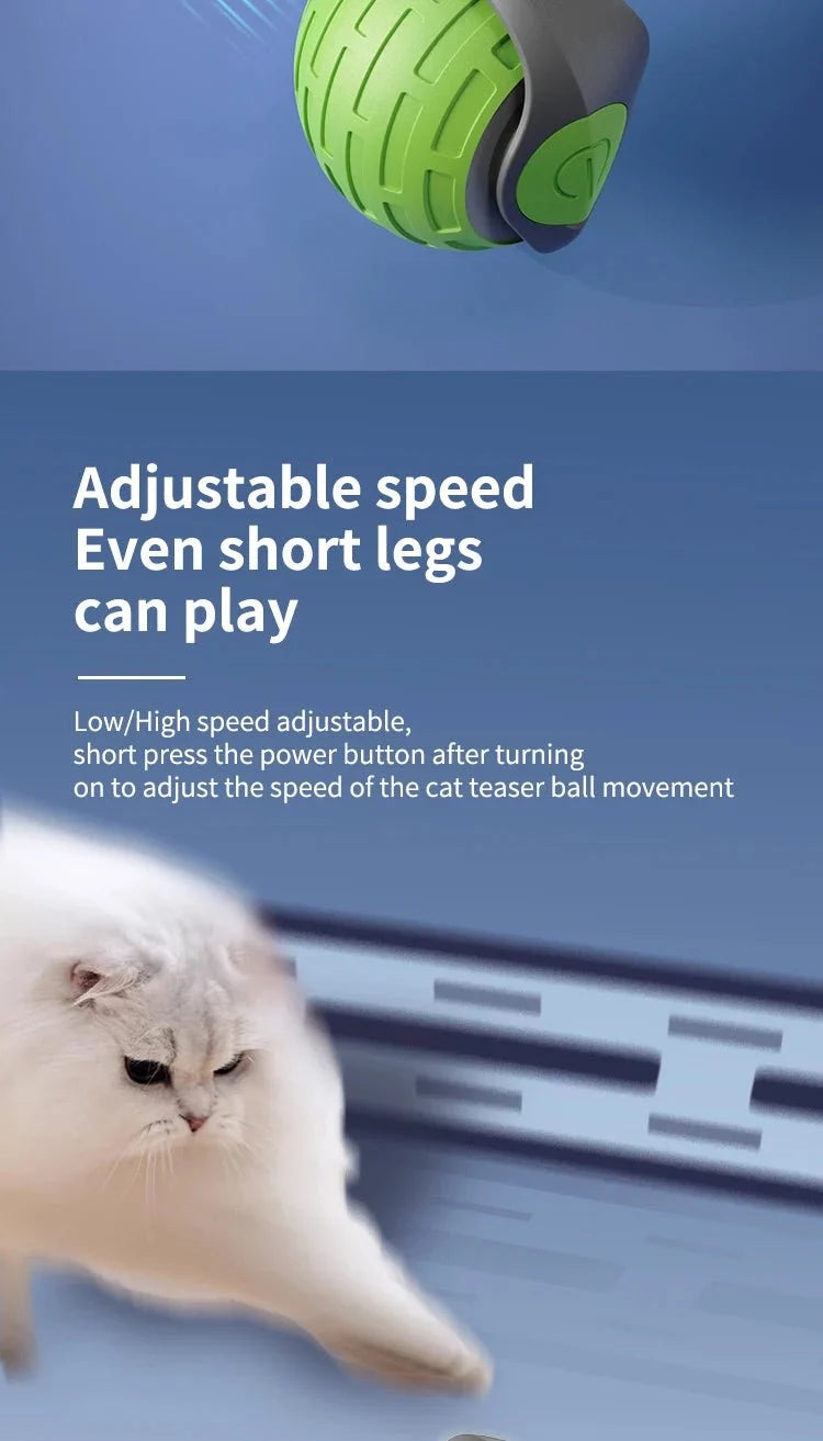 Self-Rolling Cat Toy Ball