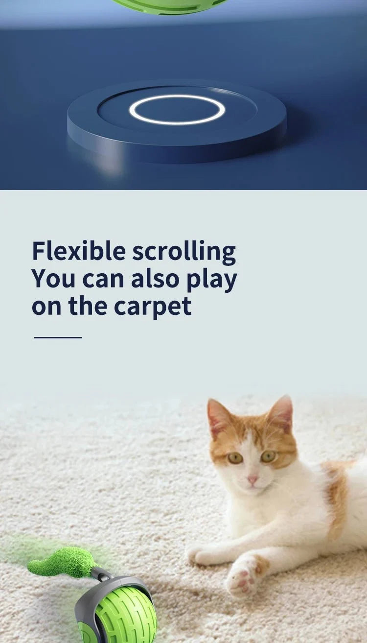 Self-Rolling Cat Toy Ball